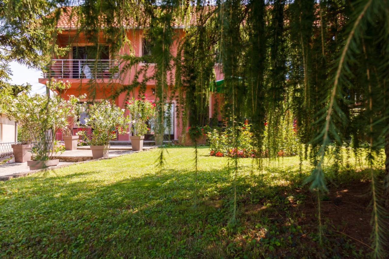 Apartment & Rooms Aleksandar Golubac Dış mekan fotoğraf