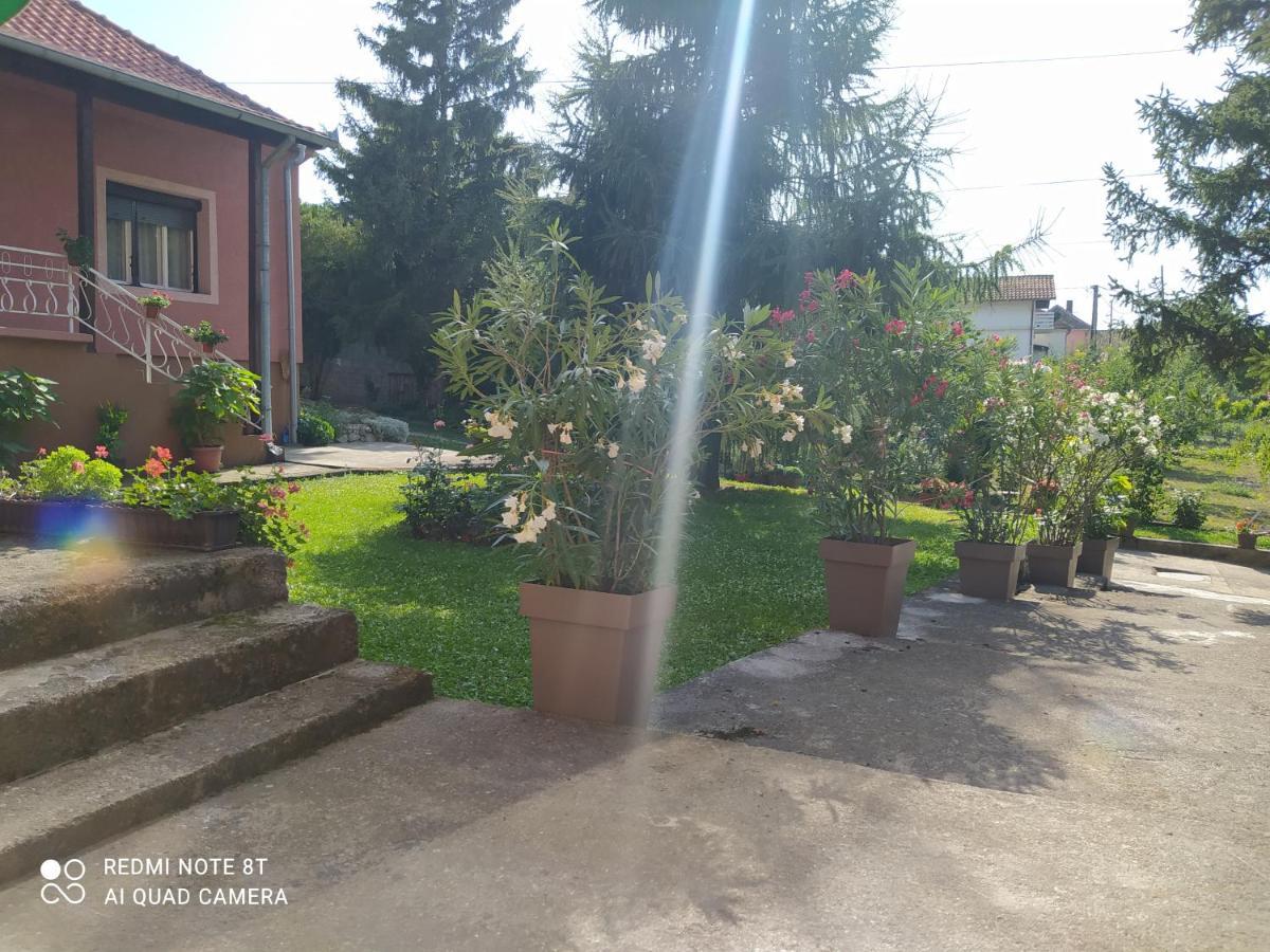 Apartment & Rooms Aleksandar Golubac Dış mekan fotoğraf