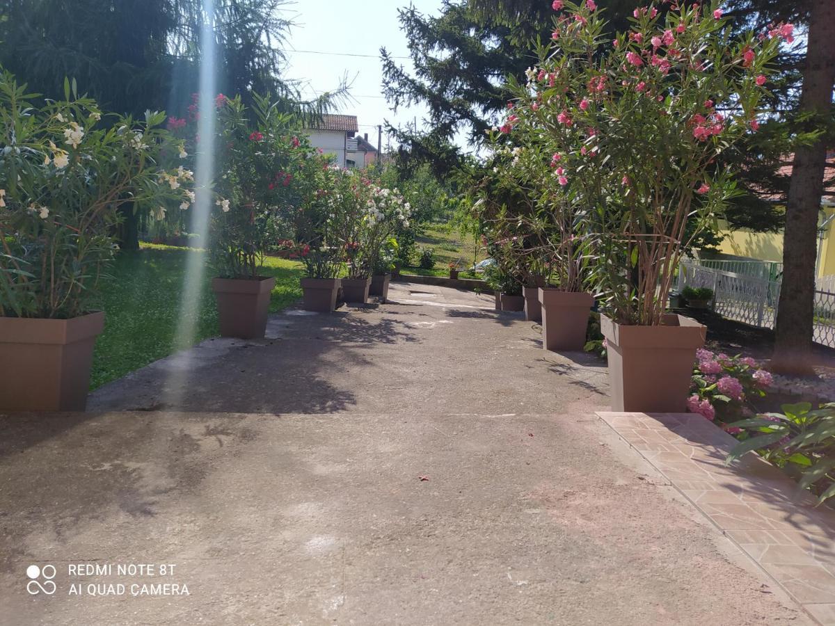 Apartment & Rooms Aleksandar Golubac Dış mekan fotoğraf
